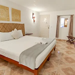 Blatha Tropical , Isla Holbox México
